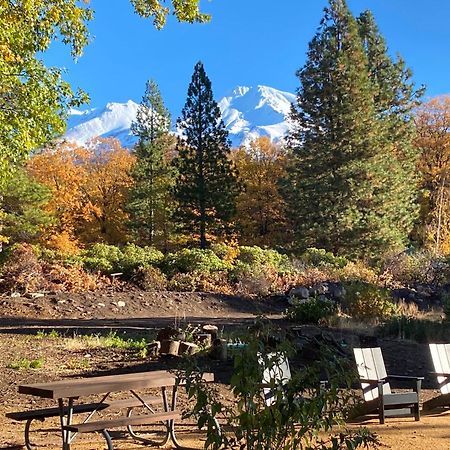 Basecamp Lodge Mount Shasta Exteriér fotografie